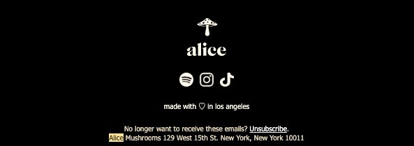 Alice Mushrooms email footer with final CTA and social links